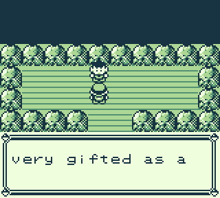 Route 3, a trainer talking to Red