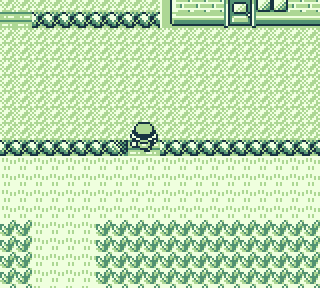 Red on Route 11 beside tall grass