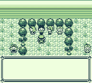Celadon Gym, Red among the trainers and trees